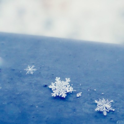 Снежинки макро снимок - snow-3838280091.jpg