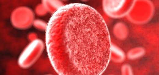 Клетки человеческой крови под микроскопом